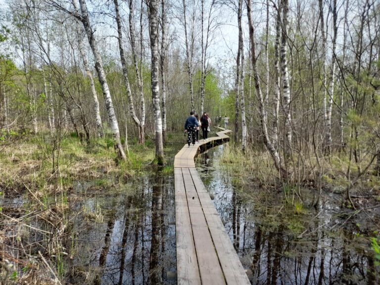 Inimeseõpetuse olümpiaad